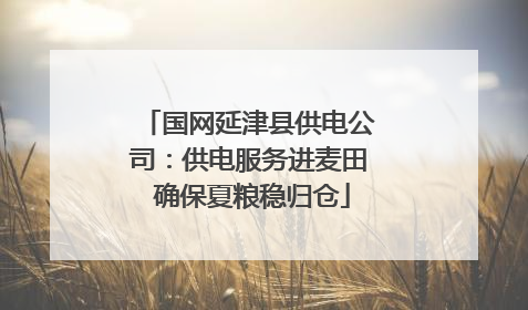 国网延津县供电公司：供电服务进麦田 确保夏粮稳归仓