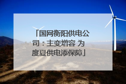 国网衡阳供电公司：主变增容 为度夏供电添保障