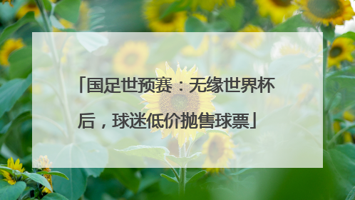 国足世预赛：无缘世界杯后，球迷低价抛售球票