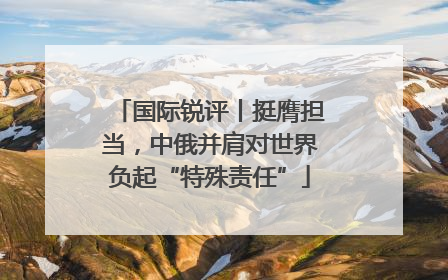 国际锐评丨挺膺担当，中俄并肩对世界负起“特殊责任”