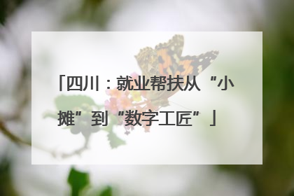 四川：就业帮扶从“小摊”到“数字工匠”