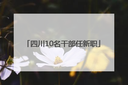 四川10名干部任新职