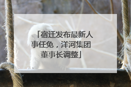 宿迁发布最新人事任免，洋河集团董事长调整