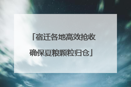 宿迁各地高效抢收 确保夏粮颗粒归仓