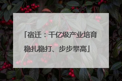 宿迁：千亿级产业培育稳扎稳打、步步攀高