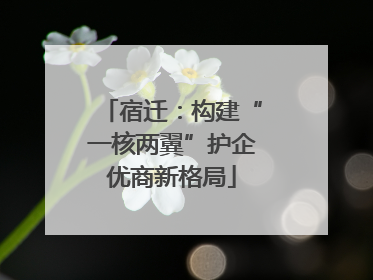 宿迁：构建“一核两翼”护企优商新格局