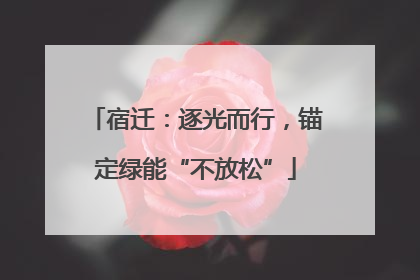 宿迁：逐光而行，锚定绿能“不放松”