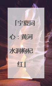 宁夏同心：黄河水润枸杞红