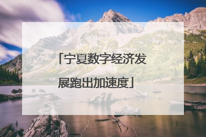 宁夏数字经济发展跑出加速度