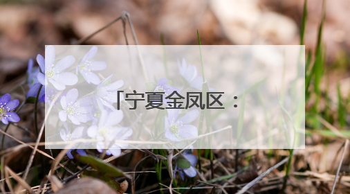 宁夏金凤区：聚力打造汽车产业新生态