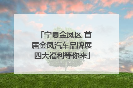 宁夏金凤区 首届金凤汽车品牌展四大福利等你来