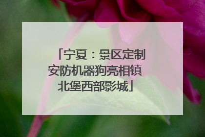 宁夏：景区定制安防机器狗亮相镇北堡西部影城