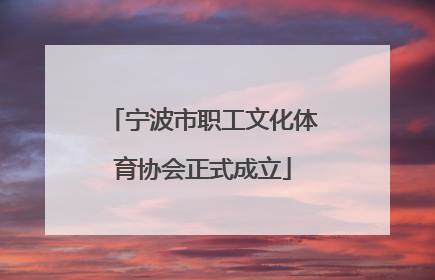 宁波市职工文化体育协会正式成立