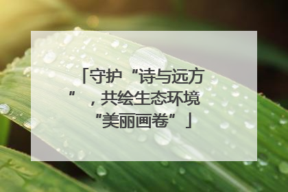 守护“诗与远方”，共绘生态环境“美丽画卷”