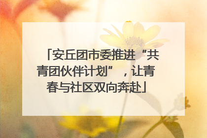 安丘团市委推进“共青团伙伴计划”，让青春与社区双向奔赴