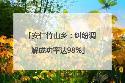 安仁竹山乡：纠纷调解成功率达98%