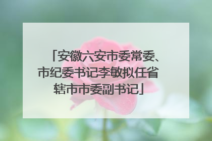 安徽六安市委常委、市纪委书记李敏拟任省辖市市委副书记