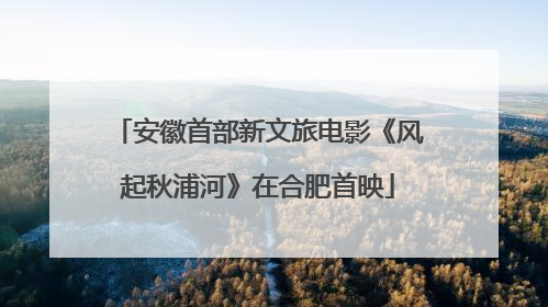 安徽首部新文旅电影《风起秋浦河》在合肥首映