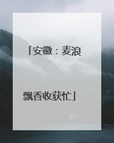 安徽：麦浪飘香收获忙