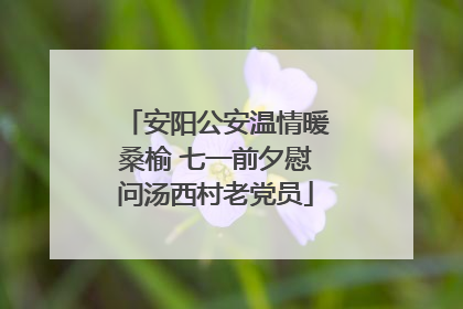 安阳公安温情暖桑榆 七一前夕慰问汤西村老党员