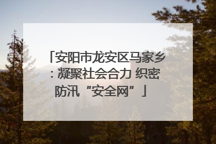 安阳市龙安区马家乡：凝聚社会合力 织密防汛“安全网”