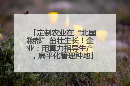 定制农业在“北国粮都”茁壮生长！企业：用算力指导生产，扁平化管理种地