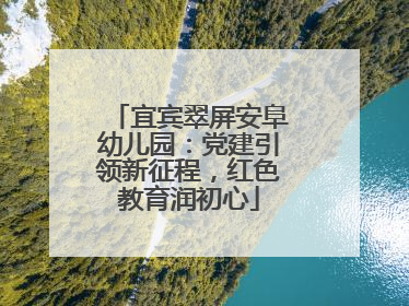 宜宾翠屏安阜幼儿园：党建引领新征程，红色教育润初心