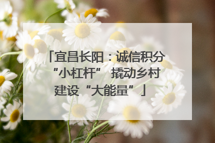 宜昌长阳：诚信积分“小杠杆” 撬动乡村建设“大能量”