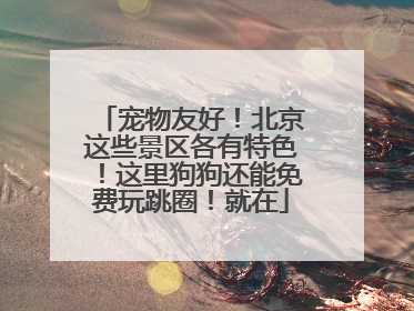 宠物友好！北京这些景区各有特色！这里狗狗还能免费玩跳圈！就在