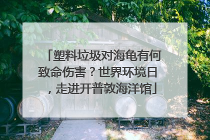 塑料垃圾对海龟有何致命伤害？世界环境日，走进开普敦海洋馆