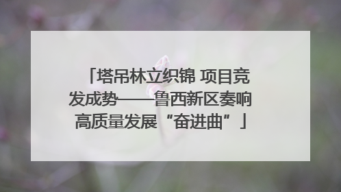 塔吊林立织锦 项目竞发成势——鲁西新区奏响高质量发展“奋进曲”