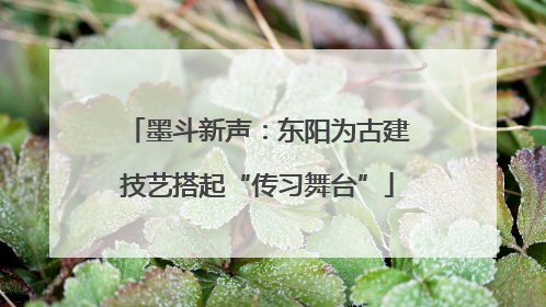 墨斗新声：东阳为古建技艺搭起“传习舞台”