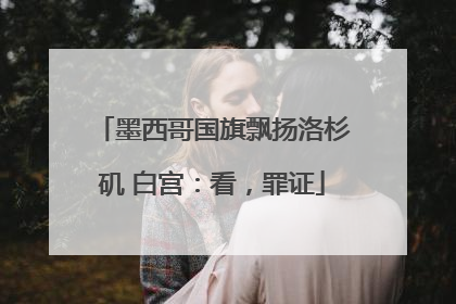 墨西哥国旗飘扬洛杉矶 白宫：看，罪证