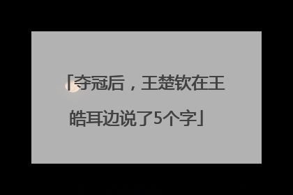 夺冠后，王楚钦在王皓耳边说了5个字
