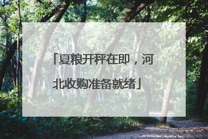 夏粮开秤在即，河北收购准备就绪