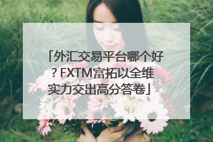 外汇交易平台哪个好？FXTM富拓以全维实力交出高分答卷