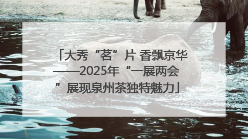 大秀“茗”片 香飘京华——2025年“一展两会”展现泉州茶独特魅力