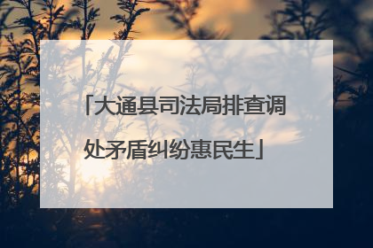 大通县司法局排查调处矛盾纠纷惠民生