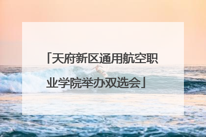 天府新区通用航空职业学院举办双选会