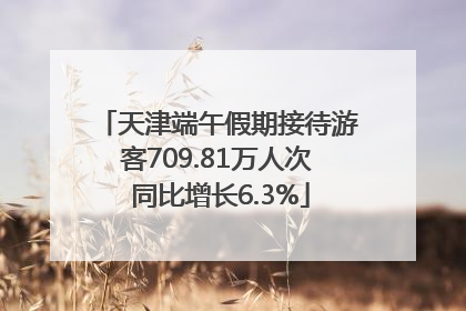 天津端午假期接待游客709.81万人次 同比增长6.3%