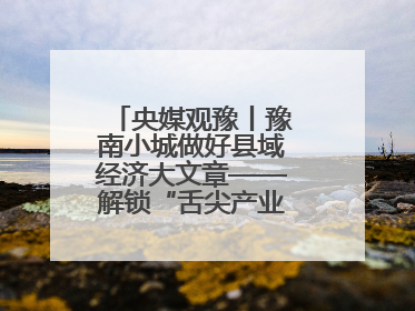 央媒观豫丨豫南小城做好县域经济大文章——解锁“舌尖产业”的创新密码