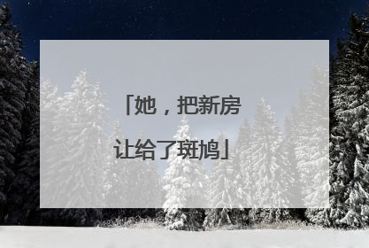 她，把新房让给了斑鸠