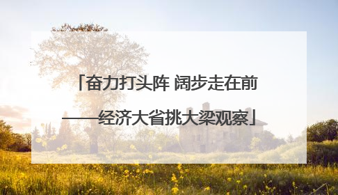 奋力打头阵 阔步走在前——经济大省挑大梁观察