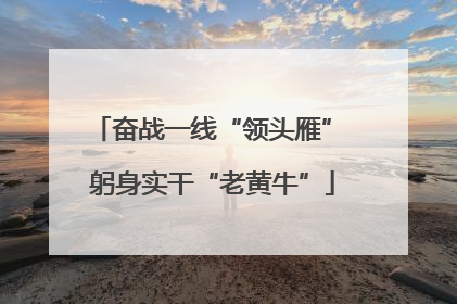 奋战一线“领头雁” 躬身实干“老黄牛”