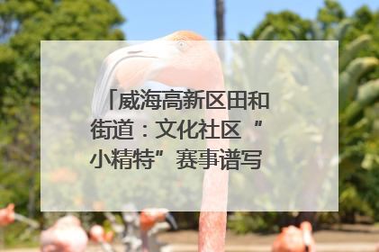 威海高新区田和街道：文化社区“小精特”赛事谱写文化赋能新乐章