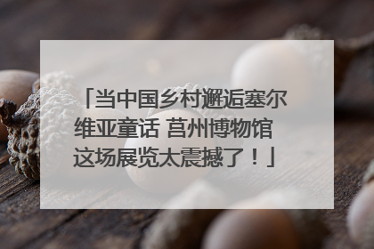 当中国乡村邂逅塞尔维亚童话 莒州博物馆这场展览太震撼了！