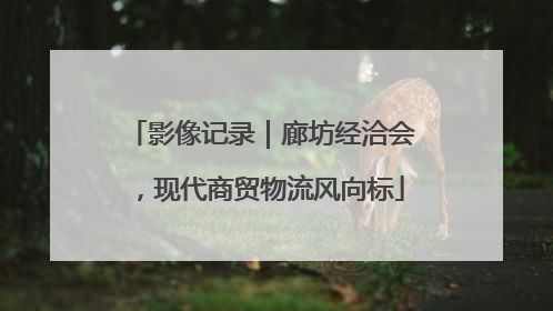 影像记录｜廊坊经洽会，现代商贸物流风向标