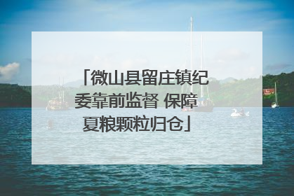 微山县留庄镇纪委靠前监督 保障夏粮颗粒归仓