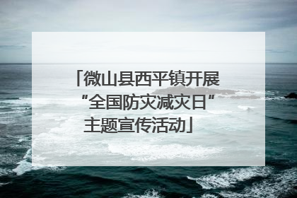 微山县西平镇开展“全国防灾减灾日”主题宣传活动