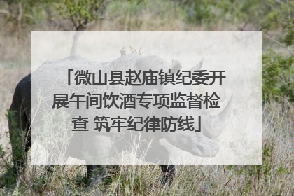 微山县赵庙镇纪委开展午间饮酒专项监督检查 筑牢纪律防线